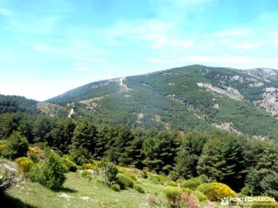 Reserva Natural Valle Iruelas-Pozo de la nieve;bastones trekking parque natural de monfrague rutas d